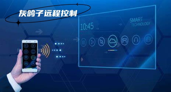 灰鸽子、向日葵、To desk、Team Viewer、Anydesk