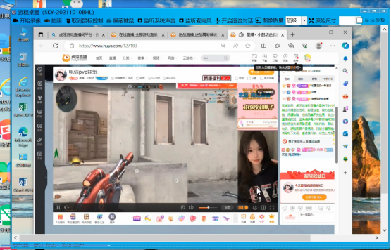 灰鸽子、向日葵、To desk、Team Viewer、Anydesk